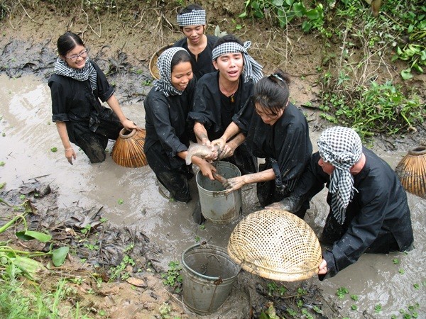 Xe từ sân bay Tân Sơn nhất đi Cần Thơ - Nguyễn Duy Travel