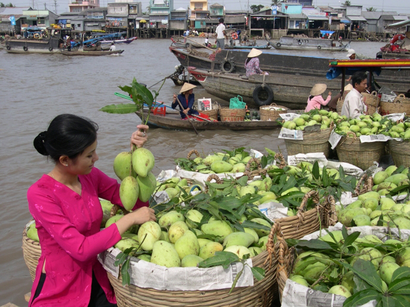 CẦN THƠ CHỢ NỔI CÁI RĂNG - VƯỜN TRÁI CÂY 1 NGÀY